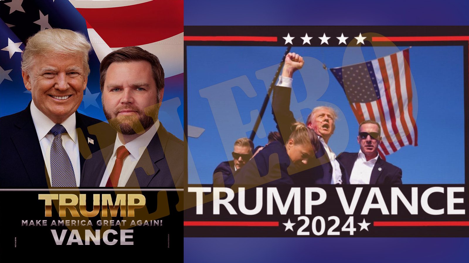 Trump Vance Flag