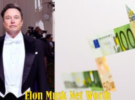 Elon Musk Net Worth