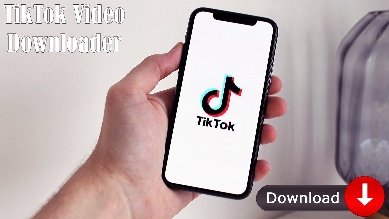 TikTok Video Downloader