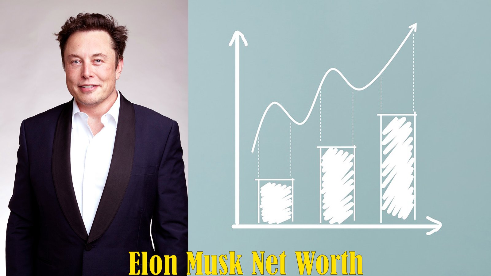 Elon Musk Net Worth