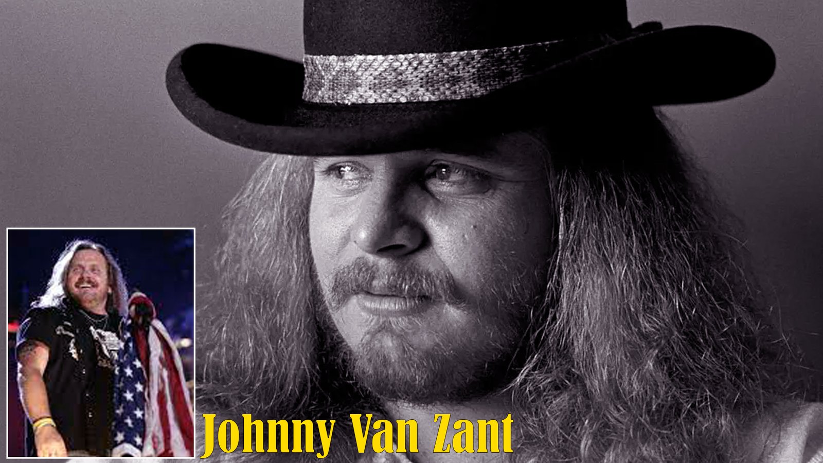 Johnny Van Zant Net Worth