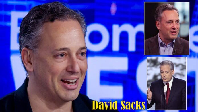 ﻿﻿﻿﻿﻿﻿David Sacks Net Worth