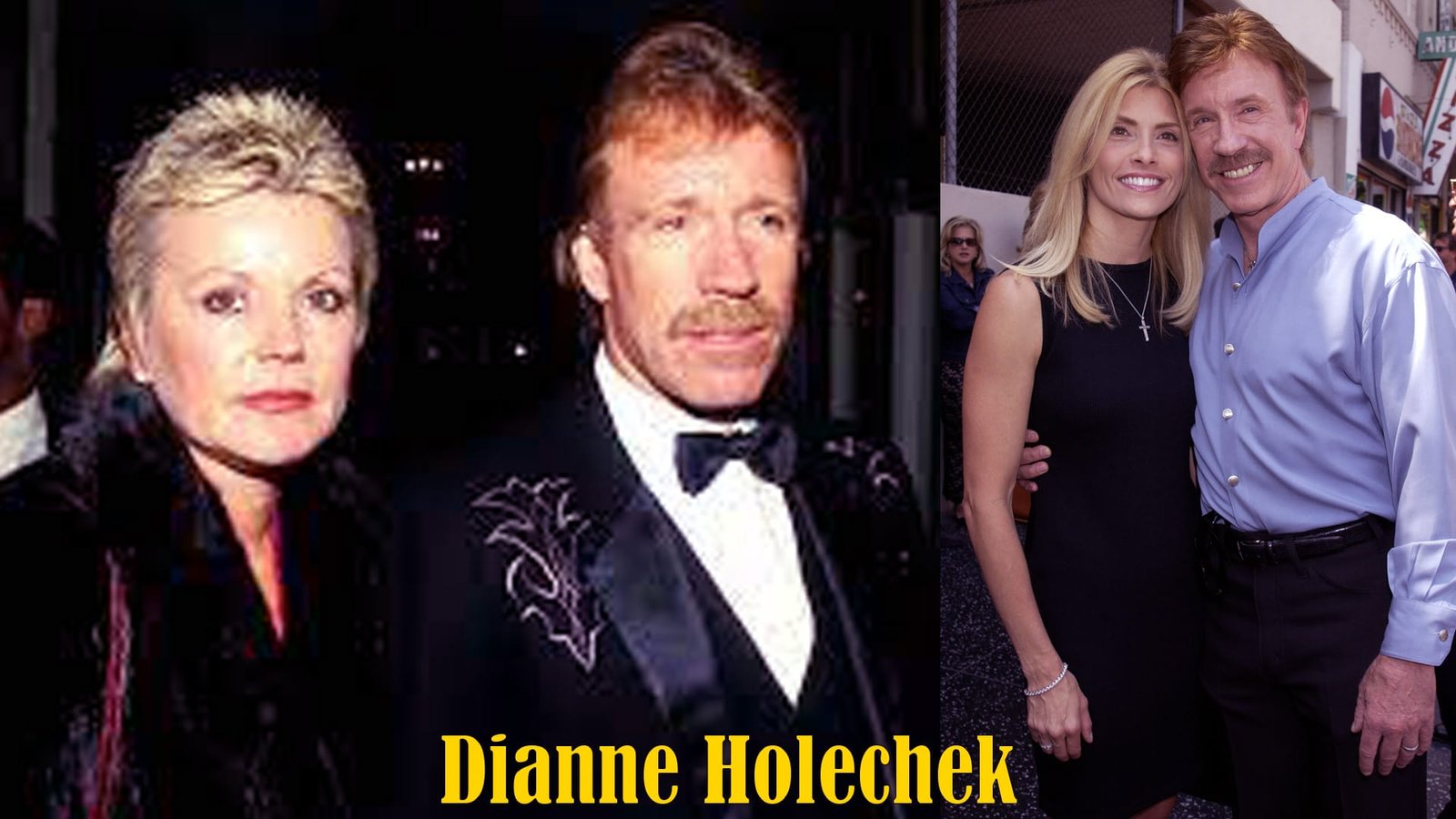 Dianne Holechek