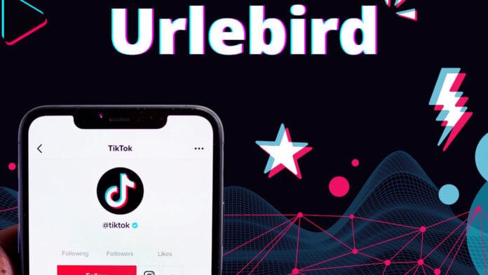 ﻿﻿﻿﻿﻿﻿﻿﻿Urlebird