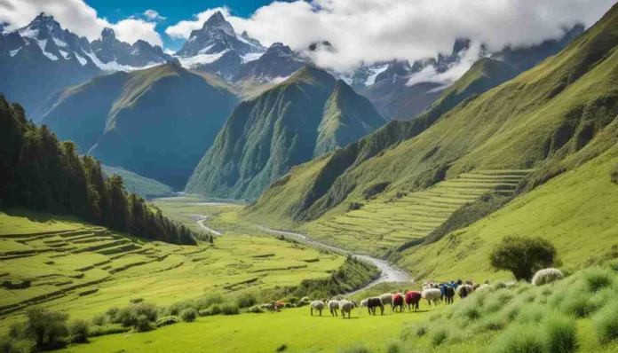 To Visit Vuzillfotsps